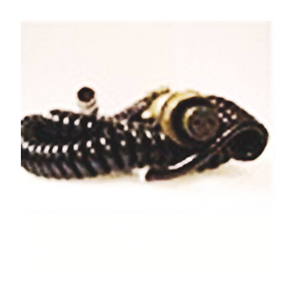 Allen-Bradley Cable