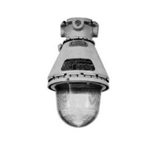 Appleton® A-51™ AC1075GT Luminaire With Tuff Skin Coating, A21 Incandescent Lamp