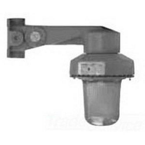 Appleton® Code.Master™ CIB30100G Fixture With Guard, (1) PS25 Incandescent Lamp, 300 W Fixture, 300 VAC, Epoxy Powder Coated Housing