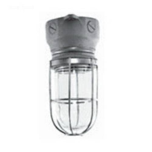 Appleton® V-51™ JB20G-M Enclosed and Gasketed Light Fixture With Guard, (1) PS-30 Incandescent Lamp, 150 V, Electro-Zinc Plated/Chromate/Epoxy Powder Coated Housing