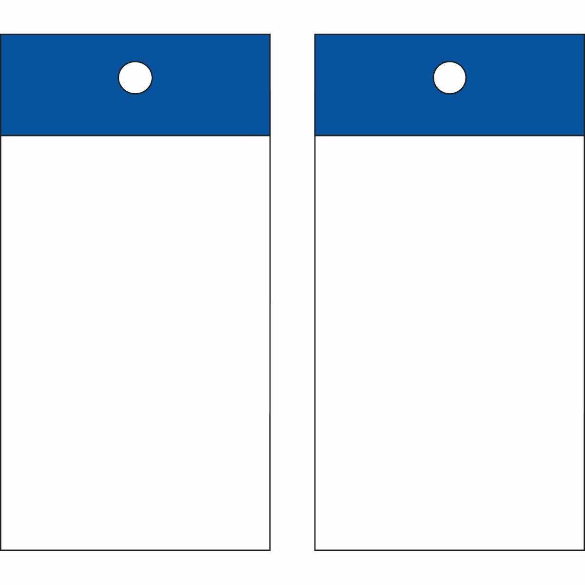 Brady® 101983 Self-Laminating Write-On Blank Tag, 5 in H x 1-1/2 in W, Polyester, Blue, Rectangular Shape