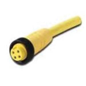EATON CSMS4A4CY1602ADC Global Plus Cordset, 4-Pin AC/DC Mini Straight Female Double-Ended Connector, 6-1/2 ft L Cable