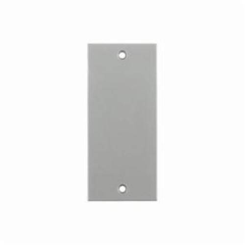 Wiring Device-Kellems HBLBL300SWA Non-Metallic Faceplate, 1 Gangs, Non-Metallic