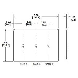 3-Gang, Hubbell Incorporated NP33I Wallplate, Nylon, Ivory, Blank