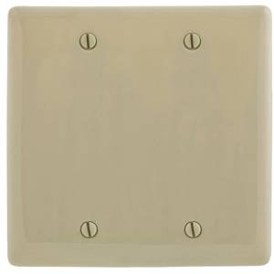 2-Gang, Hubbell Incorporated NP23I Wallplate, Nylon, Ivory, Blank