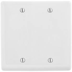 2-Gang, Hubbell Incorporated NP23W Wallplate, Nylon, White, Blank