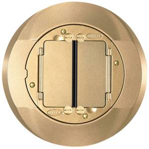Round, Hubbell Incorporated S1CFCBRS Floor Box Carpet Flange and Cover