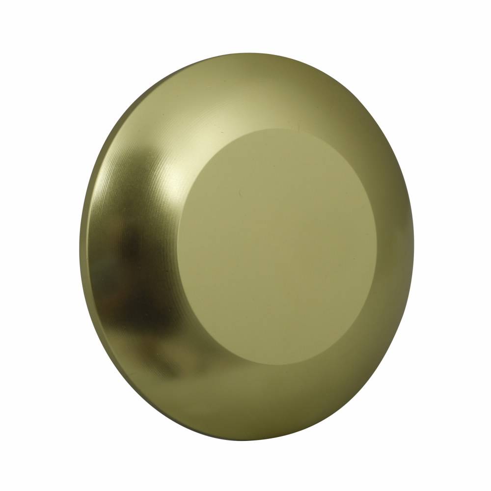 EATON 10250TJ64 Blank Heavy Duty Oiltight/Watertight Operator Button, 2.4 in L x 2.1 in W x 3.4 in H, NEMA 1/2/3/3R/4/4X/12/13/IP65, Round, Anodized Aluminum