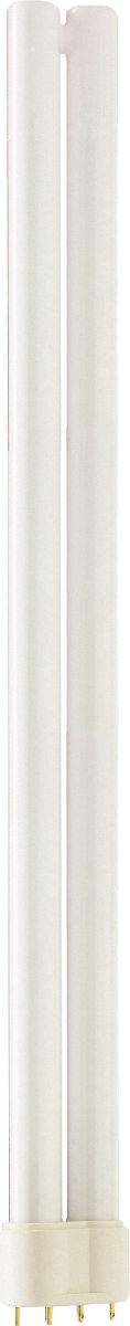 Philips 345116 Energy Saving Long Non-Dimmable Compact Fluorescent Lamp, 36 W, G24D-3/2G11 CFL-NI Lamp, PL-L Shape, 2900 Lumens