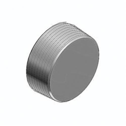 T&B® PLG1-TB Explosionproof Dust-Ignition Proof Recessed Plug With Flush Head, 1/2 in, For Use With Rigid/IMC Conduits, Iron, Zinc Plated