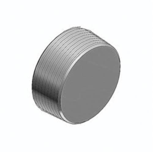 T&B® PLG6-TB Explosionproof Dust-Ignition Proof Recessed Plug With Flush Head, 2 in, For Use With Rigid/IMC Conduits, Iron, Zinc Plated