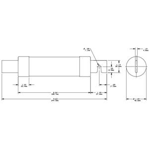 600 VAC/VDC 125 A, Class RK5, Mersen S.A. TRS125R Tri-Onic® UL Power Fuse, Time Delay, Blade Terminal
