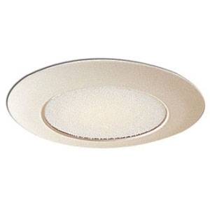 Nora Lighting NT-22 Compact Fluorescent Recessed Trim