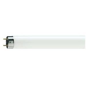 Compact Fluorescent Lamps