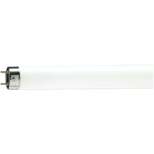 Philips Lighting 392076 Linear Fluorescent Lamp