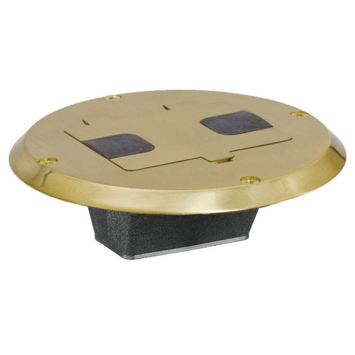 Bryant Electric RF506BP Replacement Flange and Hinge Door Floor Box, Stamped Steel, 4.9 in D