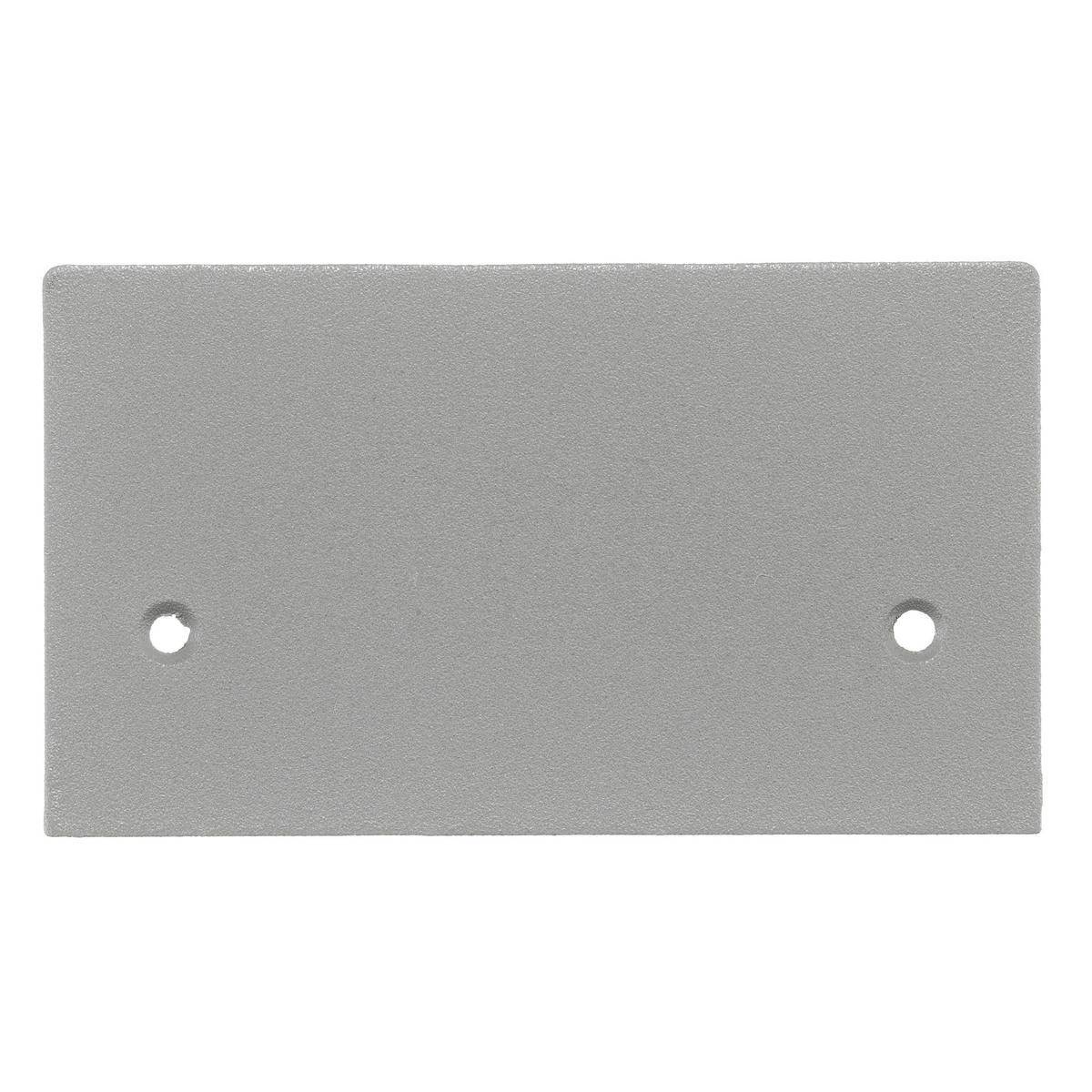 Wiring Device-Kellems SS2309BGYA Pedestal Blank Standard Sized Faceplate, 4.39 in L x 2.52 in W, Aluminum