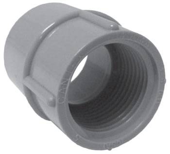 1/2" PVC Threaded Female