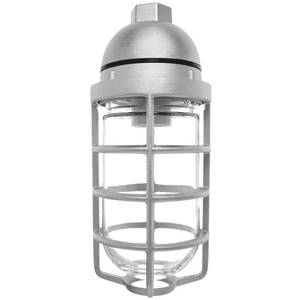 RAB Lighting Inc. VP100DG Incandescent Vaporproof Light Fixture