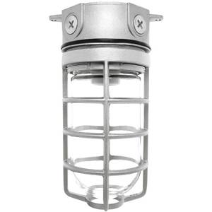 RAB Lighting Inc. VX100DG Vaporproof Incandescent Light Fixture