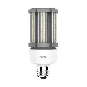RAB Lighting Inc. HID-18-E26-850-BYP-PT HID Lamp