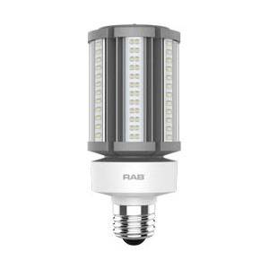 RAB Lighting Inc. HID-36-E26-850-BYP-PT HID Lamp