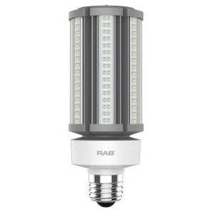 45 W, 100 to 277 VAC 50/60 Hz, RAB Lighting Inc. HID-45-E26-850-BYP-PT HID Lamp, 6800 Lumen