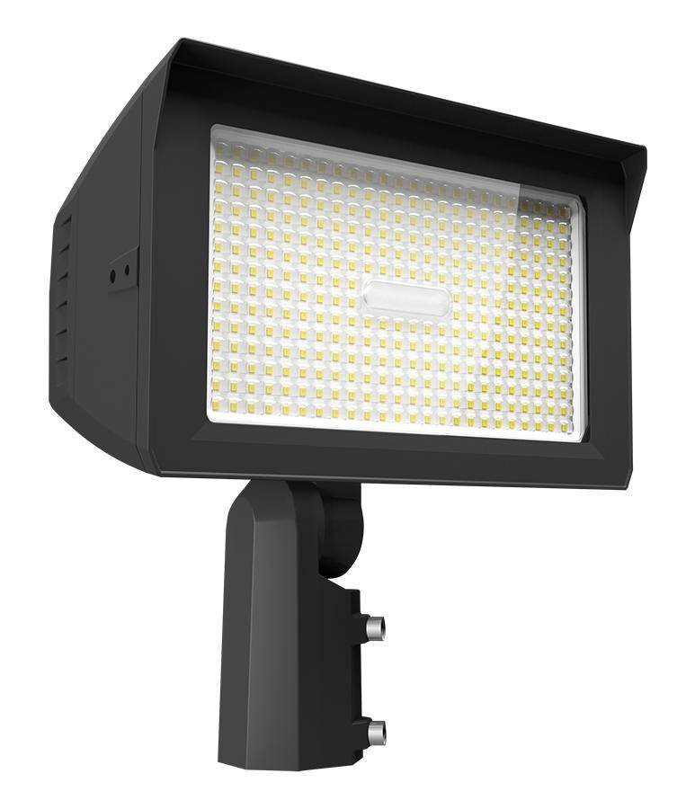 RAB X22-150 X22 Flood Light, LED Lamp, 75, 100, 125, 150 W Fixture, 120, 208, 240, 277 V, Bronze Housing