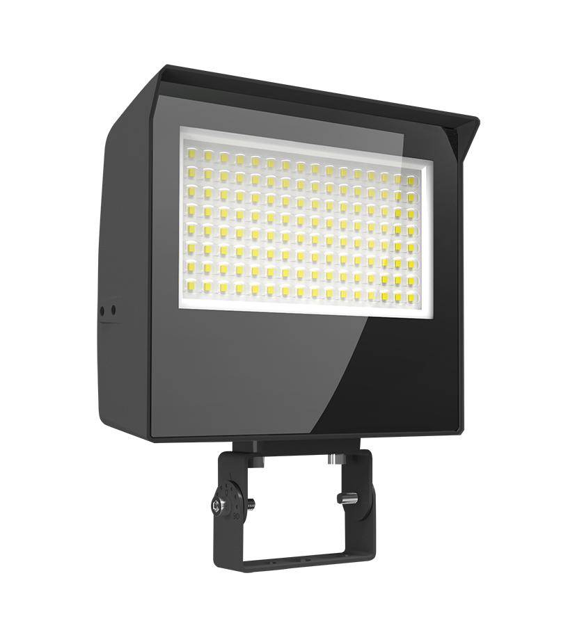 RAB X22-60 X22 Flood Light, LED Lamp, 30, 40, 50, 60 W Fixture, 120, 208, 240, 277 V, Bronze Housing