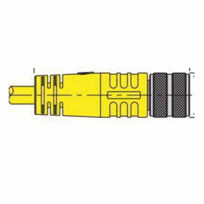 Turck Versafast® BKM 14-917-5 Single End Cordset, M16x0.75 Straight Female Connector, 5 m L Cable, 14 Poles