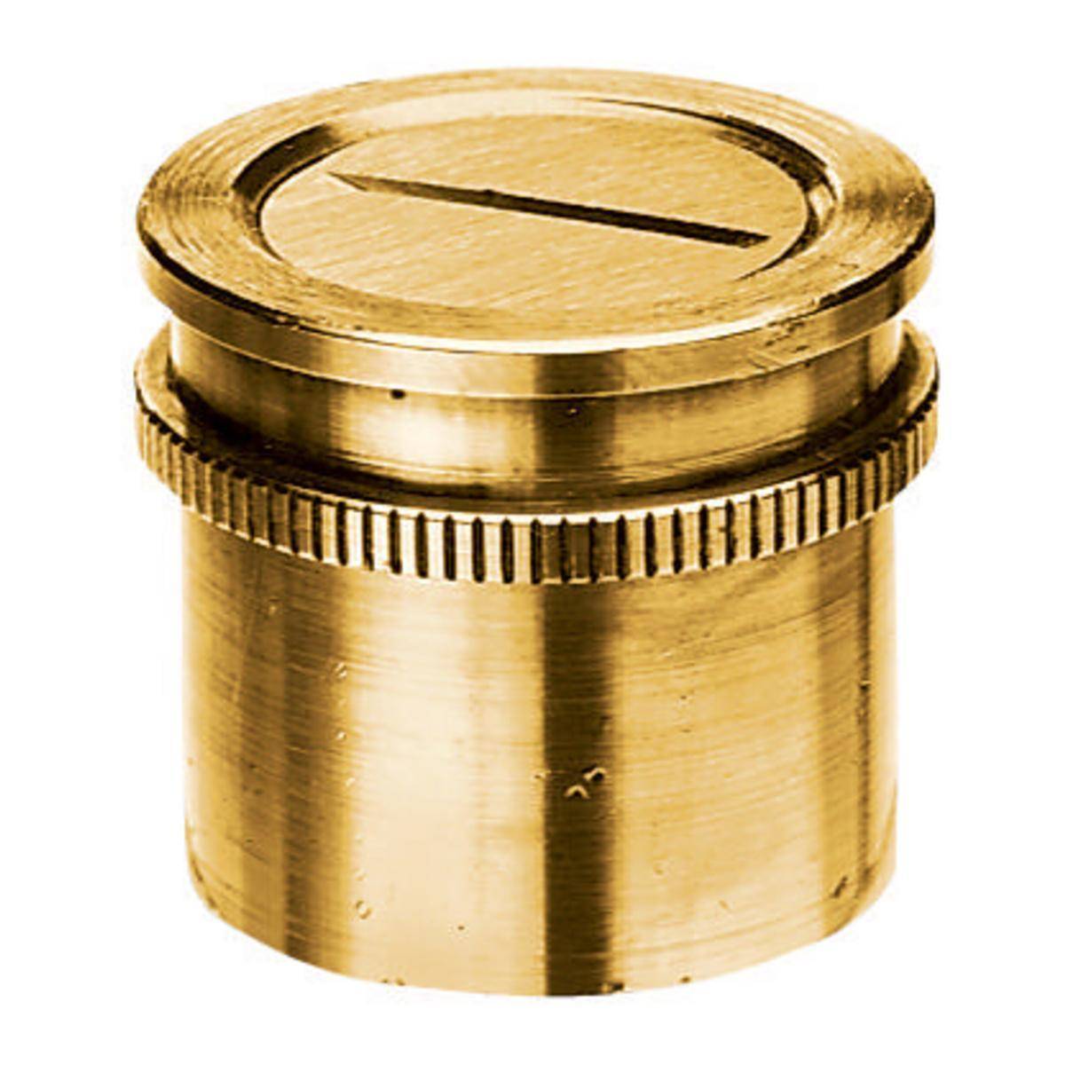 PREMISE WIRING F1340 Machined Standard Threaded Conduit Coupling, For Use With Floor Box, Cast Into Concrete Mount, Brass, Brass