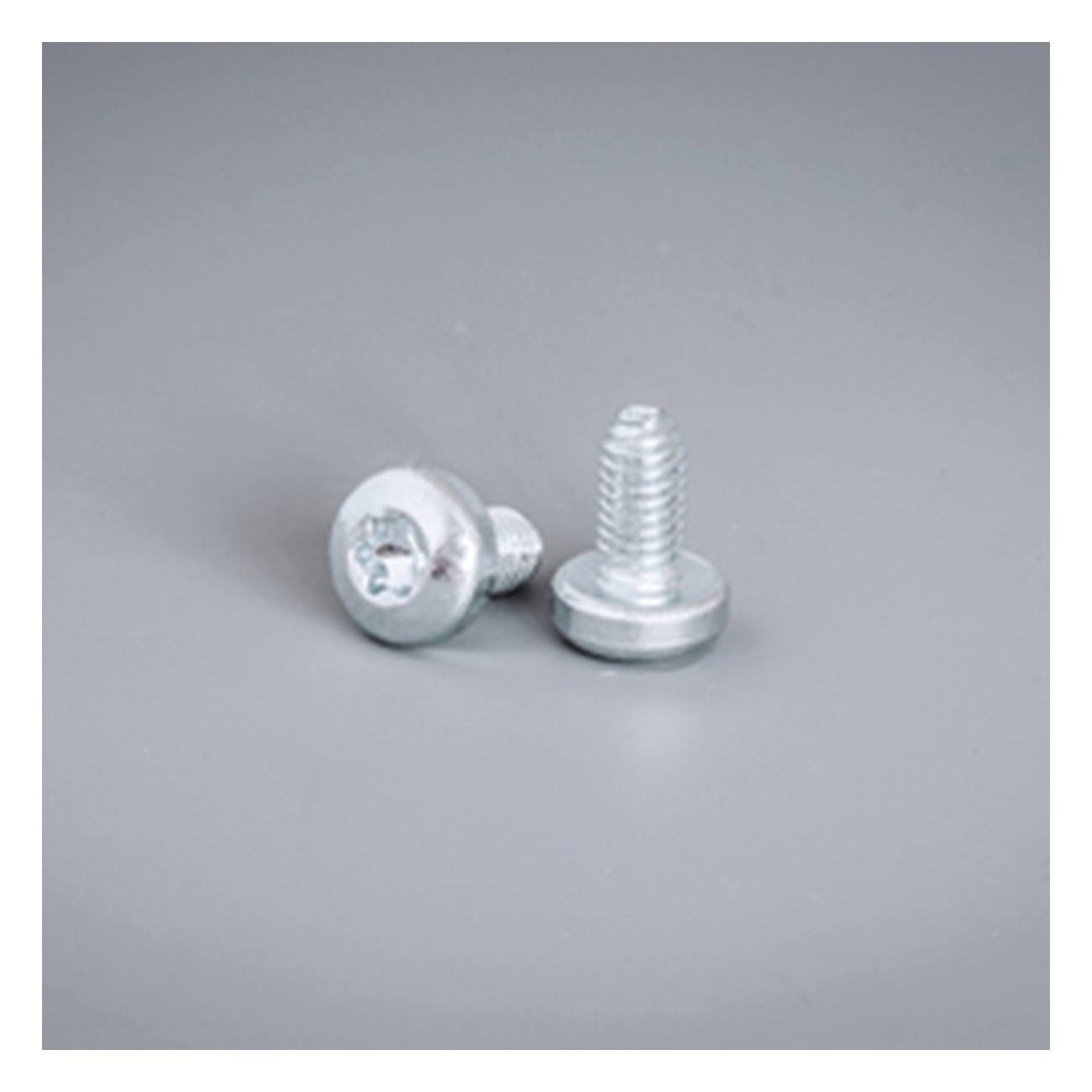 nVent HOFFMAN CNT06 Extrude Tite Screw, For Use With IEC Enclosure, M6 Torx® Thread, Mild Steel, Unpainted